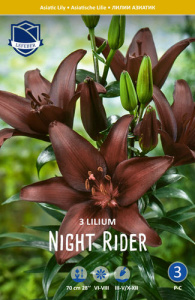 Лилия азиатская Night Rider /3шт купить