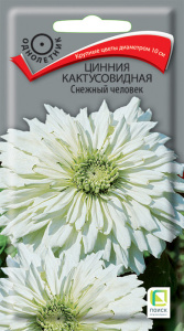 Цинния Снежный человек кактусовидная купить