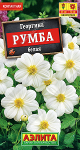 Георгина Румба белая  купить