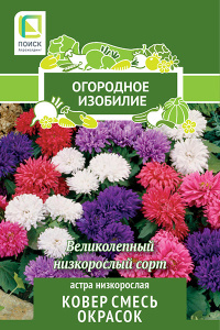 Астра Ковер, смесь низкорослая (ОИ) купить