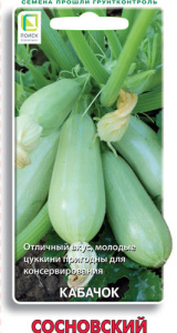 Кабачок Сосновский купить