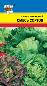 Салат Смесь Кочанных сортов  купить
