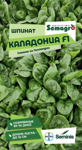 Шпинат Каладония  купить
