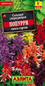 Сальвия Попурри, смесь  купить