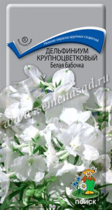Дельфиниум крупноцветковый Белая бабочка купить