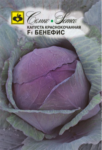 Капуста (к/к) Бенефис F1 купить