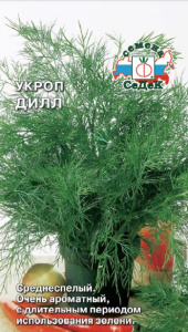 Укроп Дилл  купить