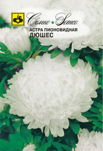 Астра Дюшес пионовидная купить