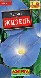 Ипомея Жизель  купить