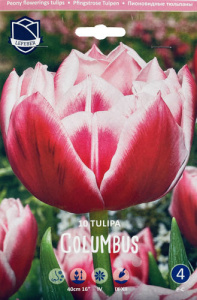 Тюльпан пионовидный "Columbus" (1х10шт) купить