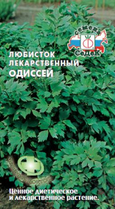 Любисток Одиссей  купить