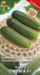 Огурец Стиляга F1 купить