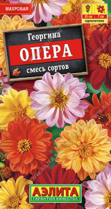 Георгина Опера, смесь  купить