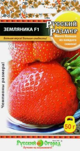 Земляника Русский Размер F1 8шт купить