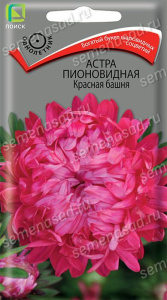 Астра Башня Красная пионовидная купить