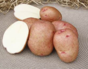 Картофель семенной Красавчик 2кг/10 купить