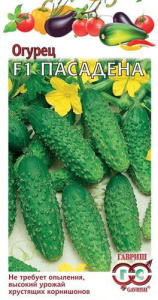 Огурец Пасадена F1 корнишон купить
