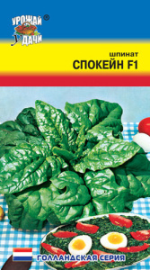 Шпинат Спокейн  купить