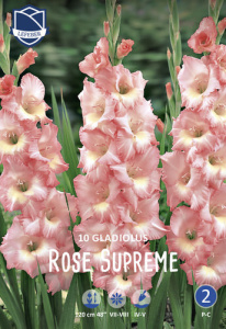 Гладиолус XXL Rose Supreme 14/16 /10шт купить