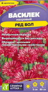 Василек Ред Бол купить