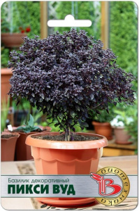 Базилик Пикси Вуд  купить