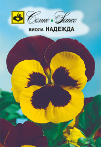 Виола Надежда  купить