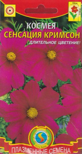 Космея Сенсация Кримсон  купить