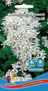 Клематис Прямой (УД)  купить