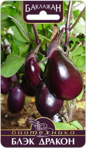 Баклажан Блэк Дракон  купить