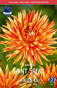 Георгина кактусовая Saint Saens /1шт купить