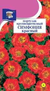 Портулак Симфония красная купить