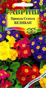 Примула селекта Великан, смесь  (альп.гор.) купить