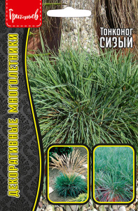 Тонконог Сизый купить
