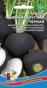 Редька Зимняя круглая черная купить
