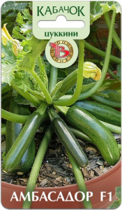 Кабачок Амбасадор F1 цуккини  купить