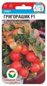 Томат Григорашик F1  купить