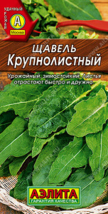 Щавель Крупнолистный  купить
