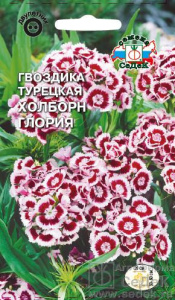 Гвоздика Холборн Глория турецкая купить