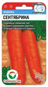 Морковь Сентябрина  купить