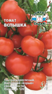 Томат Вспышка  купить