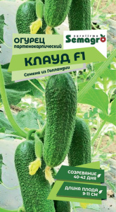 Огурец Клауд F1 купить
