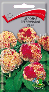 Целозия гребенчатая Корона купить