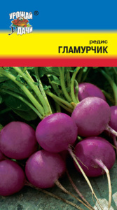 Редис Гламурчик  купить