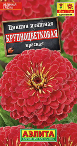 Цинния Крупноцветковая красная  купить