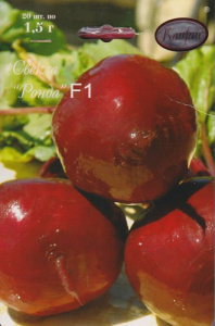 Свекла Ронда/1шт купить