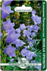 Кампанула Звонкая прелесть  купить