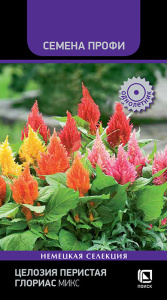 Целозия перистая Глориас, микс купить