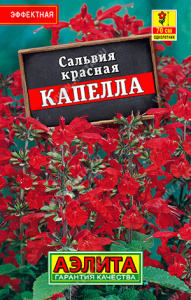 Сальвия Капелла  купить