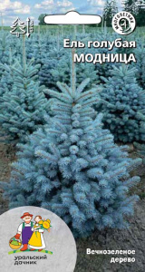 Ель голубая Модница купить