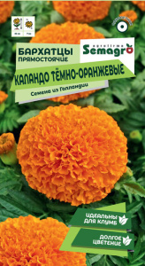 Бархатцы прямостоячие Каландо темно-оранжевые   купить